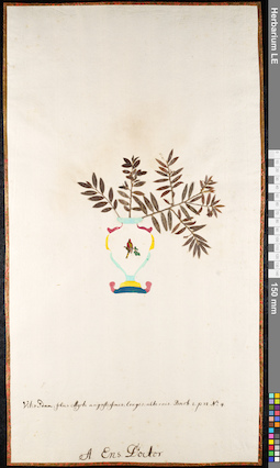 LE 01091579