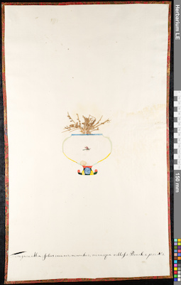 LE 01091584