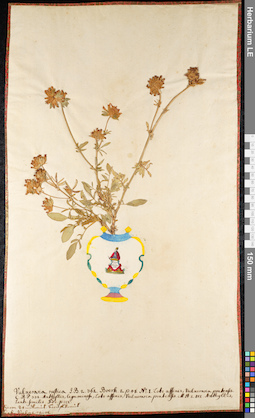 LE 01091588