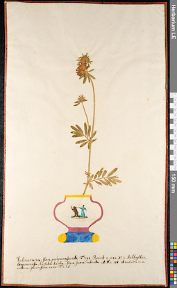 LE 01091589