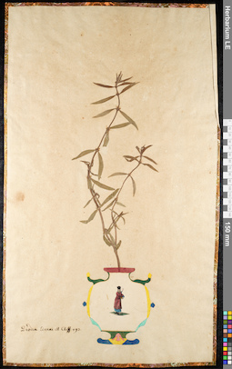 LE 01091591