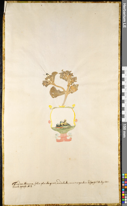 LE 01091594