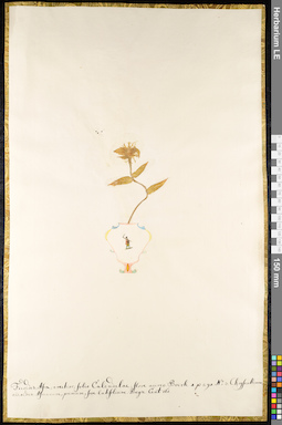 LE 01091595
