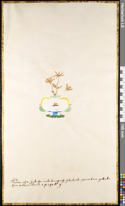 LE 01091597