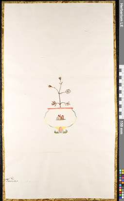 LE 01091607