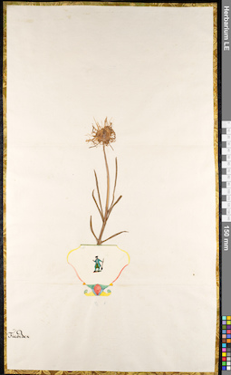 LE 01091608