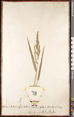 LE 01091628