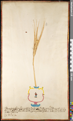LE 01091629