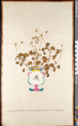 LE 01091638
