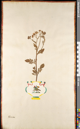 LE 01091639