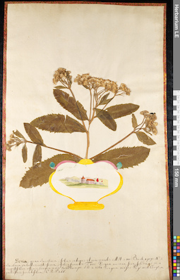 LE 01091640