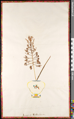 LE 01091642