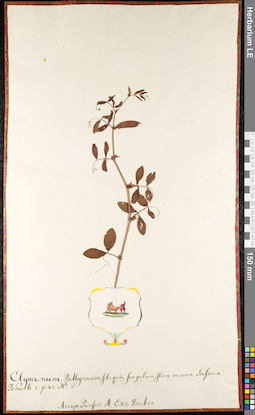 LE 01091660