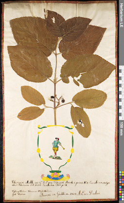 LE 01091662