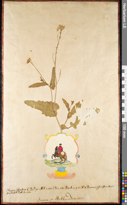 LE 01091663