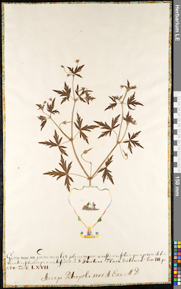 LE 01091664