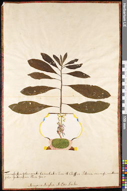 LE 01091665