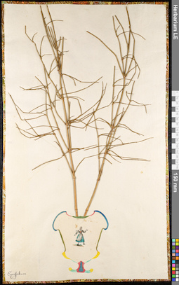 LE 01091669