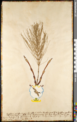 LE 01091670