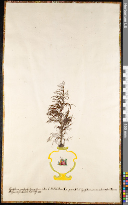 LE 01091672