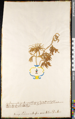 LE 01091676