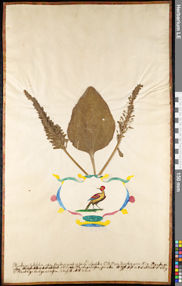 LE 01091682