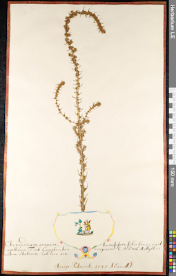 LE 01091688