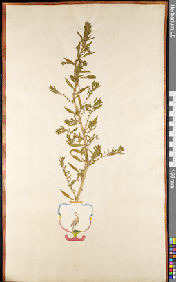 LE 01091689