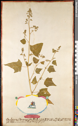 LE 01091690