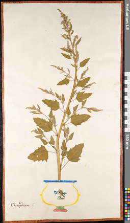 LE 01091691