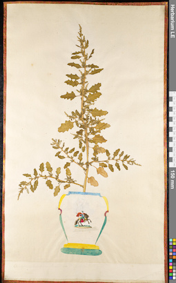 LE 01091692