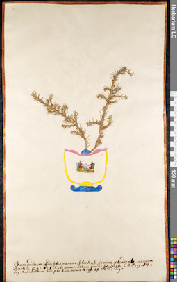 LE 01091693