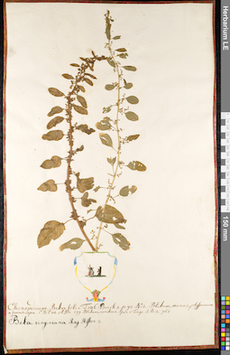 LE 01091702