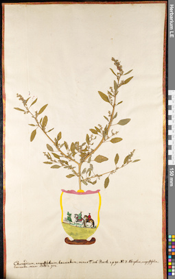 LE 01091704