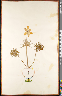 LE 01091707
