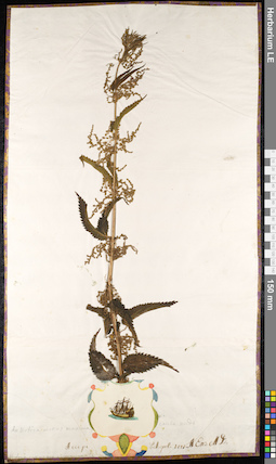 LE 01091708