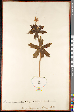 LE 01091710