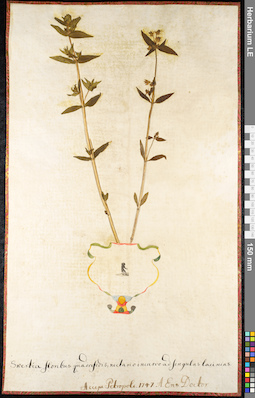 LE 01091716
