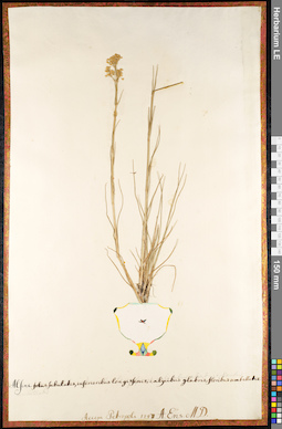 LE 01091720