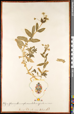 LE 01091721