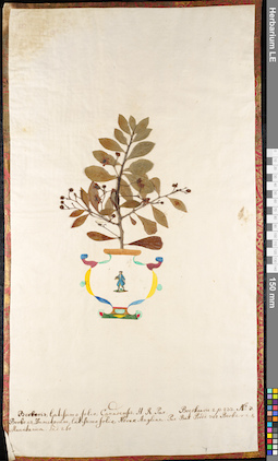 LE 01091725