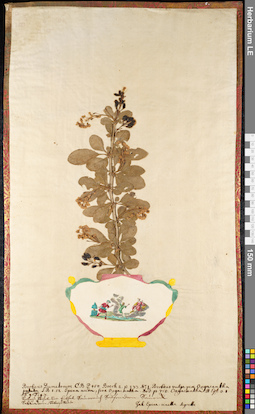 LE 01091726