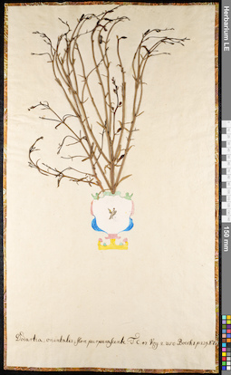 LE 01091738
