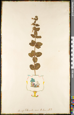 LE 01091897