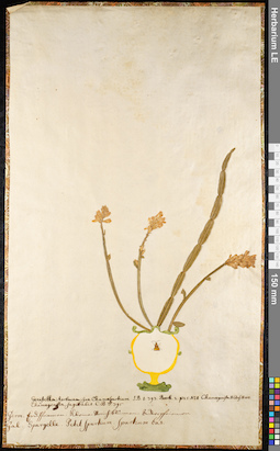 LE 01091917