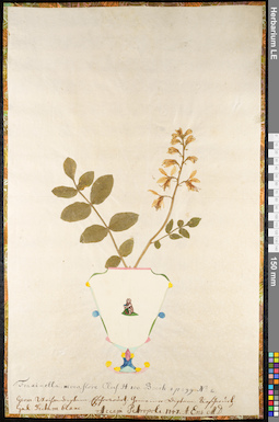LE 01091923