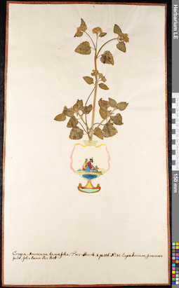 LE 01091933