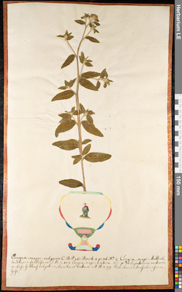 LE 01091934