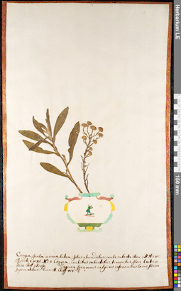 LE 01091939