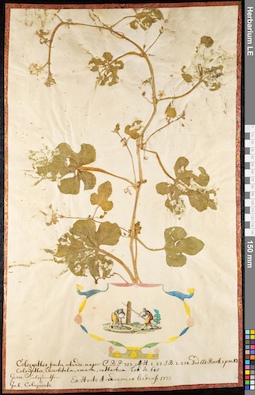 LE 01091944